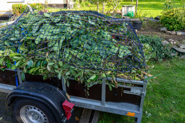 Best Residential Junk Removal  in Grace, ID